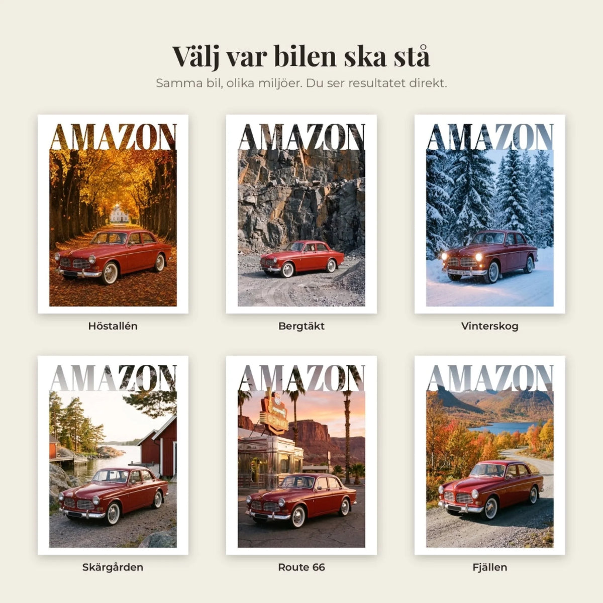 Välj miljö för ditt bilporträtt