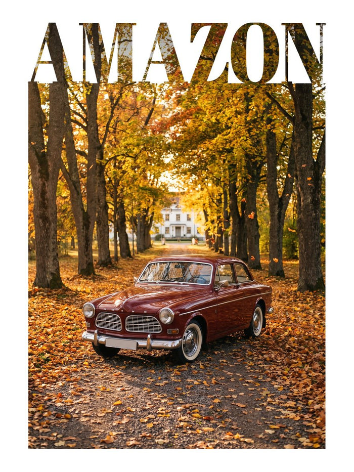 Volvo Amazon