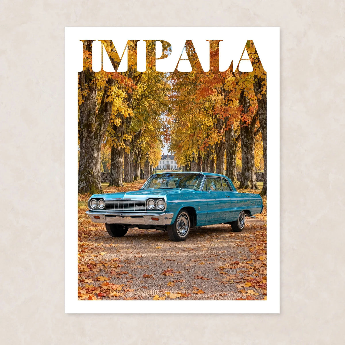 Bilporträtt IMPALA