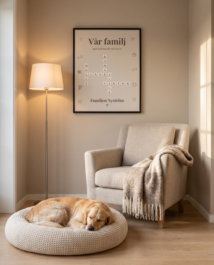 Familjeband Husdjur ovanför en läsfåtölj med en sovande golden retriever