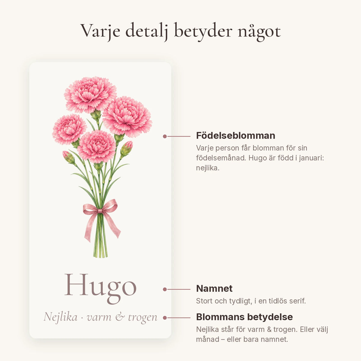 Familjeblom Barnbarn – födelseblomma, namn och betydelse